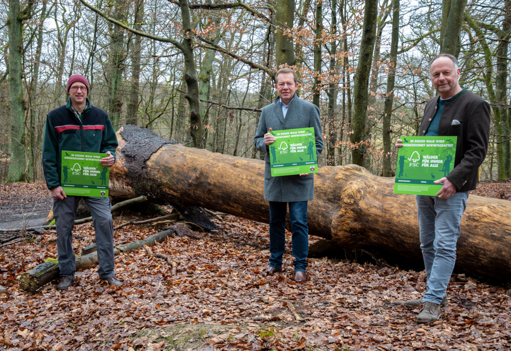 Bild: Siegener Stadtwald mit FSC-Zertifizierung ausgezeichnet